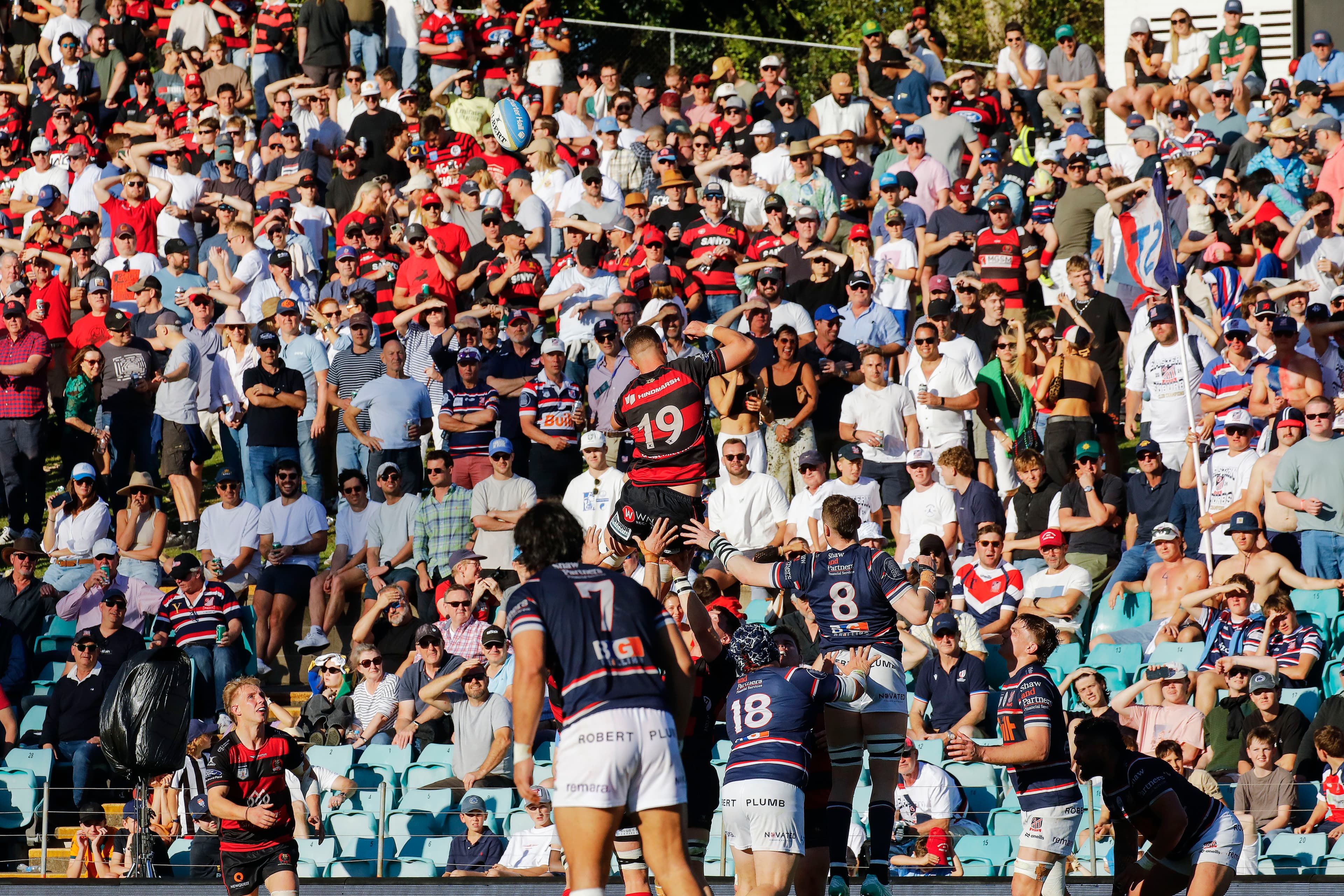 Leichhardt Oval  - Karen Watson 2024