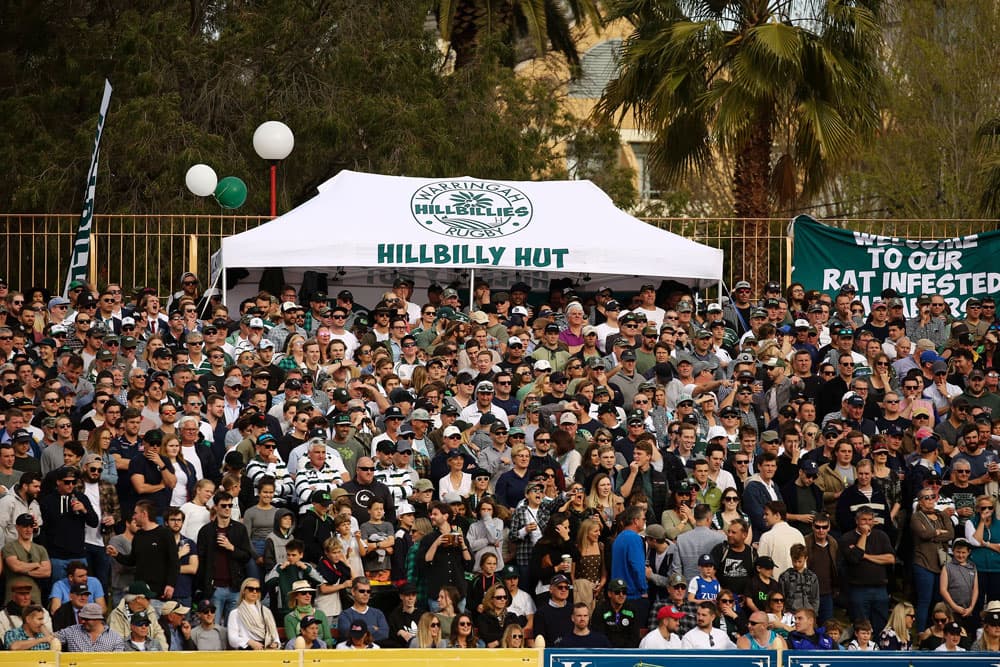 Shute Shield Crowd