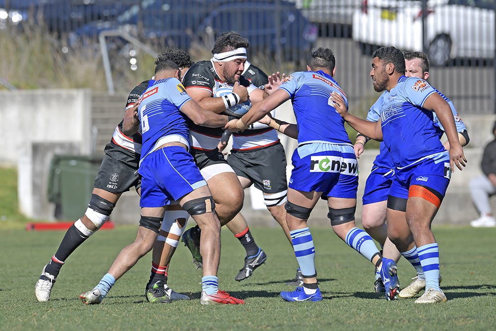 Two Blues will face West Harbour in Round One of the 2022 Charter Hall Shute Shield. Photo: J.B Photography